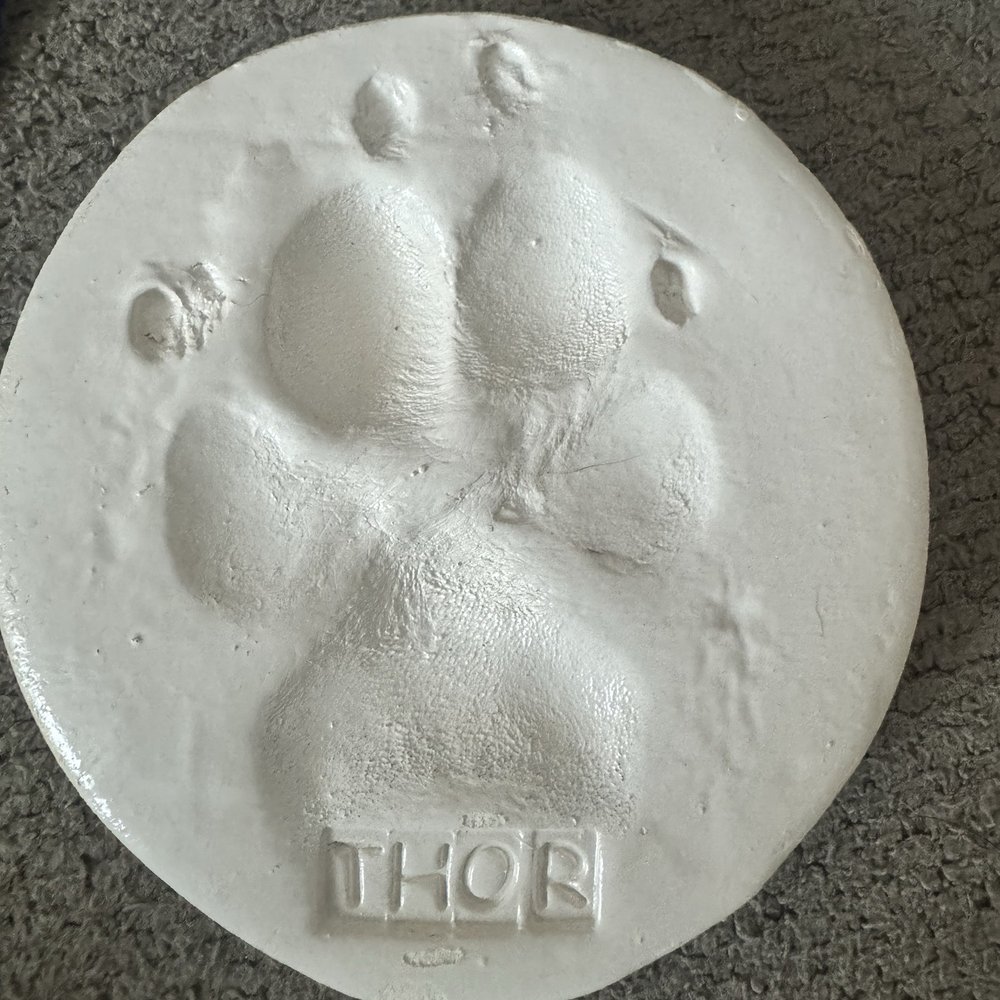 Small Paws Cremations - Pet Cremation Services Near Me - Los Angeles, California Small Paws Cremations - Pet Cremation Services Near Me - Los Angeles, California