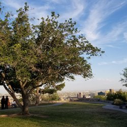 Tom Lea Park