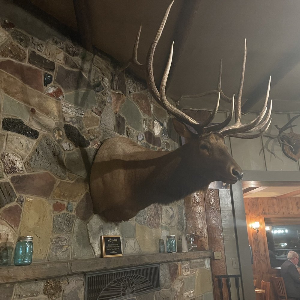 Milt's Stage Stop - a deer head mounted on a stone wall - Steakhouses Near Me - Cedar City, Utah Milt's Stage Stop - a deer head mounted on a stone wall - Steakhouses Near Me - Cedar City, Utah
