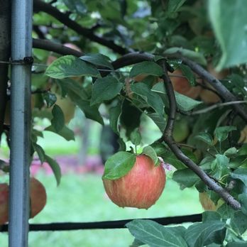 Alstede Farms - Fruits & Veggies Near Me - Chester, New Jersey