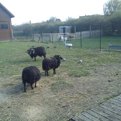 Ferme Dehaudt