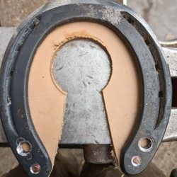 Aaron Covany Wellington Farrier