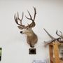 Photo of Sooky Goldman Nature Center