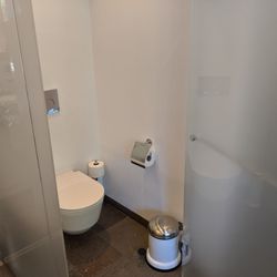 Dragsholm Slot Slotshotel - Glass enclosed toilet