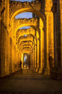 Fountains Abbey by null