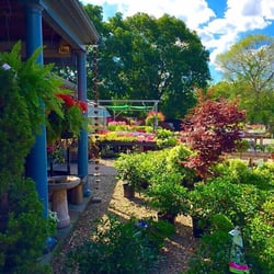 Spillane's Nursery - Front entrance showing variety of plants