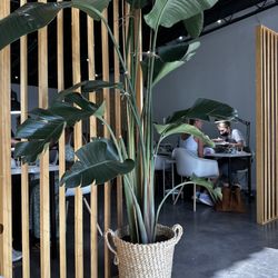 The Nails Space