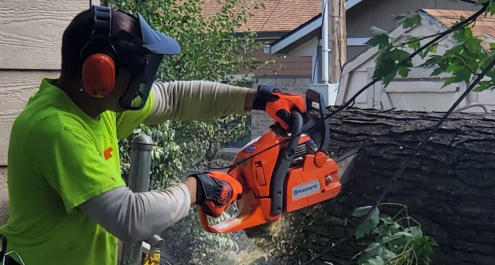PROLINE Property Services - tree service in Sioux Falls, SD