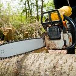 Affordable Tree Service By Mark Hicks