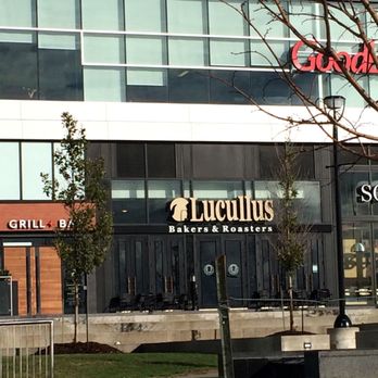 Lucullus Bakers & Roasters - Open Saturday @9 but slim pickings on bun availability - Coffee Roasteries Near Me - Markham, Ontario Lucullus Bakers & Roasters - Open Saturday @9 but slim pickings on bun availability - Coffee Roasteries Near Me - Markham, Ontario