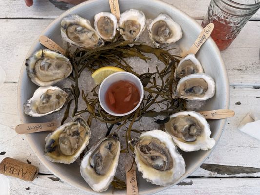 Barnegat Oyster Collective by null