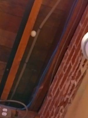 Comet Ping Pong by null