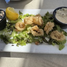 Calamari. She had already eaten most when I thought to take a picture Calamari. She had already eaten most when I thought to take a picture