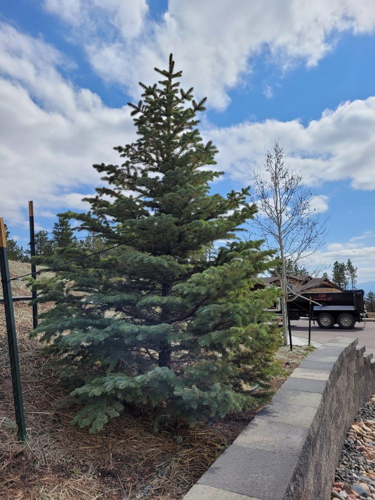 HEIDRICH’S COLORADO TREE FARM NURSERY Updated October 2024 27