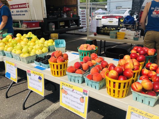 Collingswood Farmers' Market by null