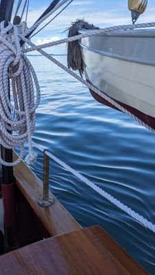 Windjammer Angelique by null