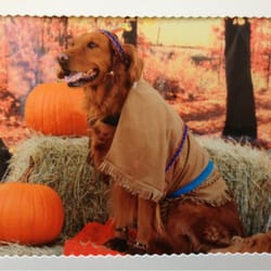 Dogtoberfest