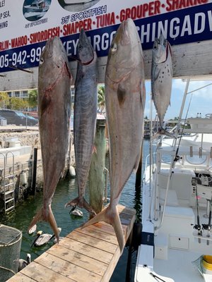 Sailors Choice Party Fishing Boat & Anglers Choice Sport Fishing private Charters by null