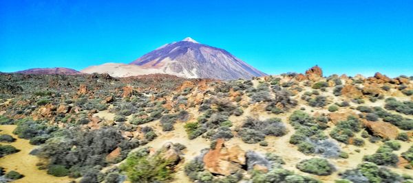 Teide National Park by null