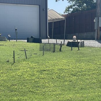 Southwest Nuisance Wildlife Control - Wildlife Control Near Me - Springfield, Missouri Southwest Nuisance Wildlife Control - Wildlife Control Near Me - Springfield, Missouri