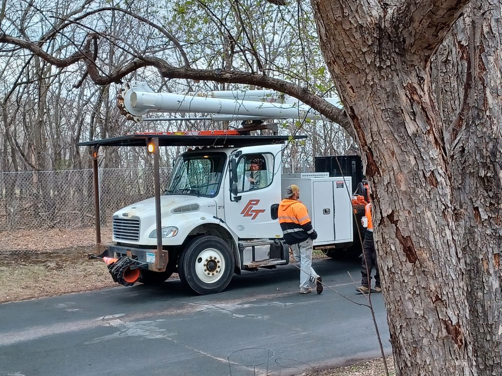 Precision Landscape and Tree - tree service in Little Canada, MN