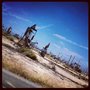 Photo of Texaco