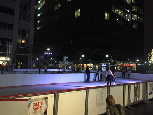 Skate The Station by null