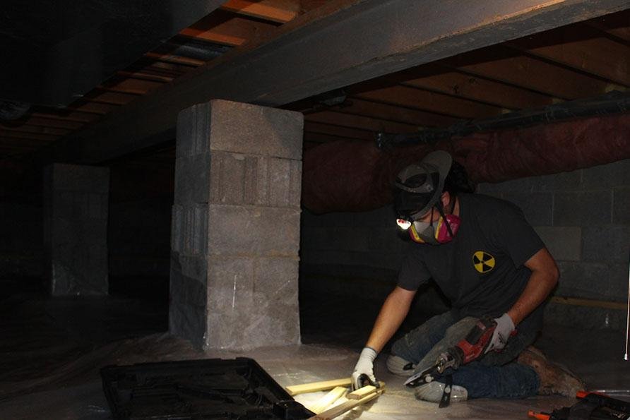 Protect Environmental - mold inspector in Columbus, OH