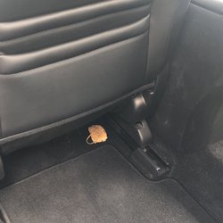 Payless Car Rental - A gross moldy hash brown in my rental