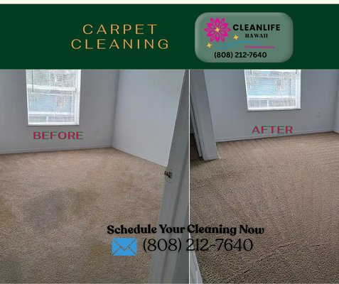 Carpet and Upholstery Cleaning - Carpet Cleaning Services Carpet and Upholstery Cleaning - Carpet Cleaning Services