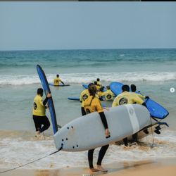 Manly Surf School - Group lessons are available at Manly Surf School with softboards.  Private groups can also be arranged at Long Reef, Manly or Palm Beach.