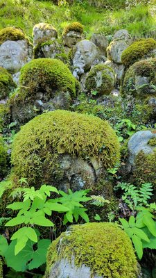 Otagi Nenbutsuji Temple by null