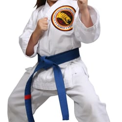 Leander TaeKwonDo Plus