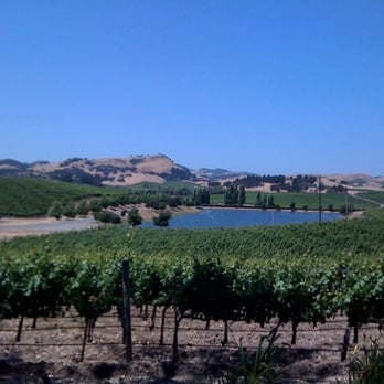 Cuvaison - View from the outside seating - Wineries Near Me - Napa, California