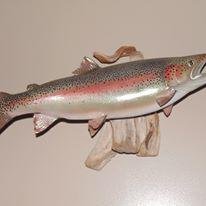 Lane's Wildlife Images - taxidermy in New Brighton, PA