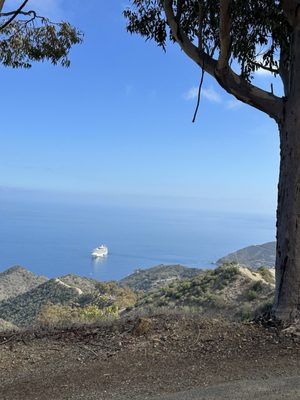 Catalina Island Conservancy Trailhead by null
