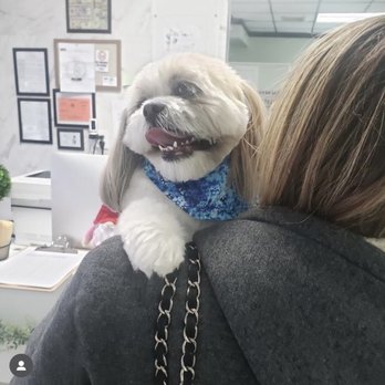 Picture PAWfect - Mommy and I - Pet Groomers Near Me - Staten Island, New York Picture PAWfect - Mommy and I - Pet Groomers Near Me - Staten Island, New York