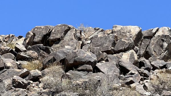 Tucson Mountain District by null