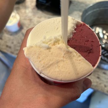Pinolo Gelato - Yogurt, peach, Marion Berry with basil - Gelato Near Me - Portland, Oregon Pinolo Gelato - Yogurt, peach, Marion Berry with basil - Gelato Near Me - Portland, Oregon