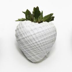 White Chocolate Strawberry