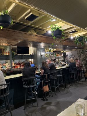 Condesa Phoenix by null