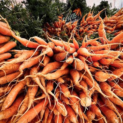 Lane County Farmers Market by null