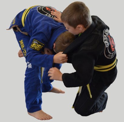 Catalyst Brazilian Jiu Jitsu Academy gym photo