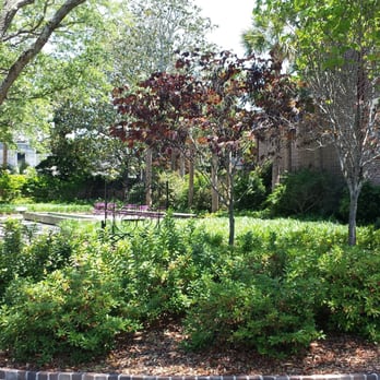 Theodora Park - It's a beautiful City park on the corner of George Street and Anson Street. - Parks Near Me - Charleston, South Carolina