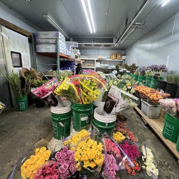 Utopia Import Flowers - Flowers - Florists Near Me - Queens, New York Utopia Import Flowers - Flowers - Florists Near Me - Queens, New York