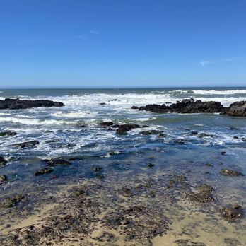 Pescadero State Beach - Beaches Near Me - Pescadero, California