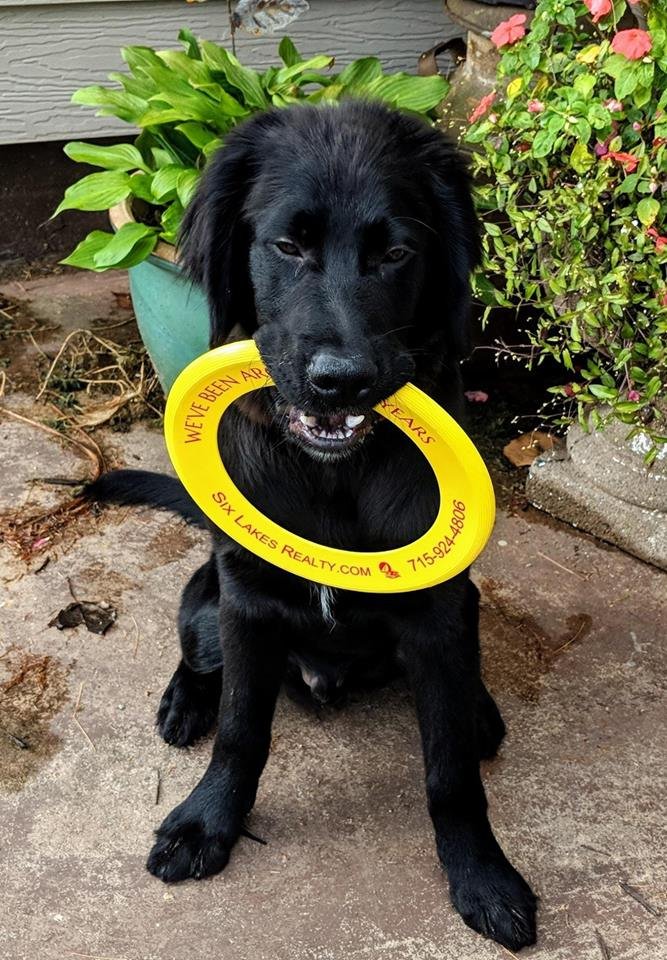 SIX LAKES REALTY Updated April 2024 Request Consultation 11