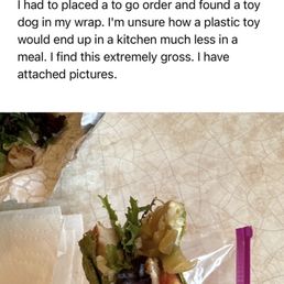 A dog toy
