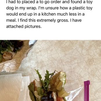 Dive Coastal Cuisine - A dog toy - Seafood Near Me - Dallas, Texas
