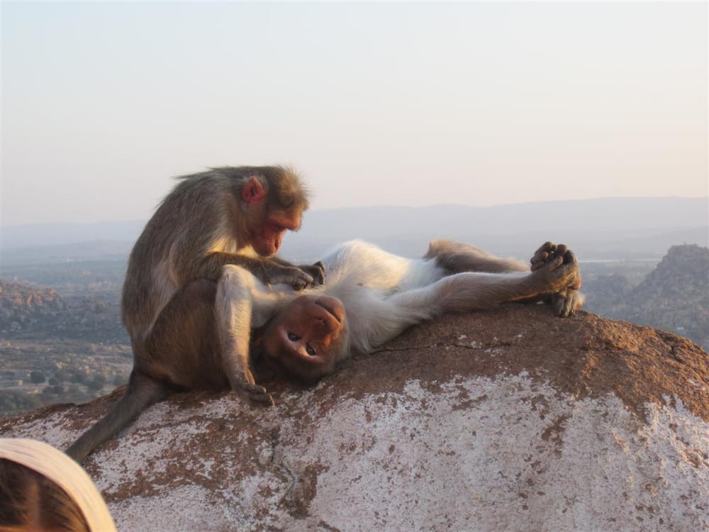 Meridel Tobias, MFT - grief counselor in Oakland, CA